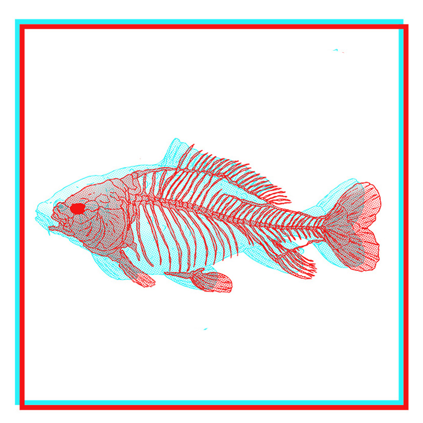 Anaglyphe et Monotype